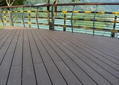 ľܵذʵľذЩ[̻ľ]